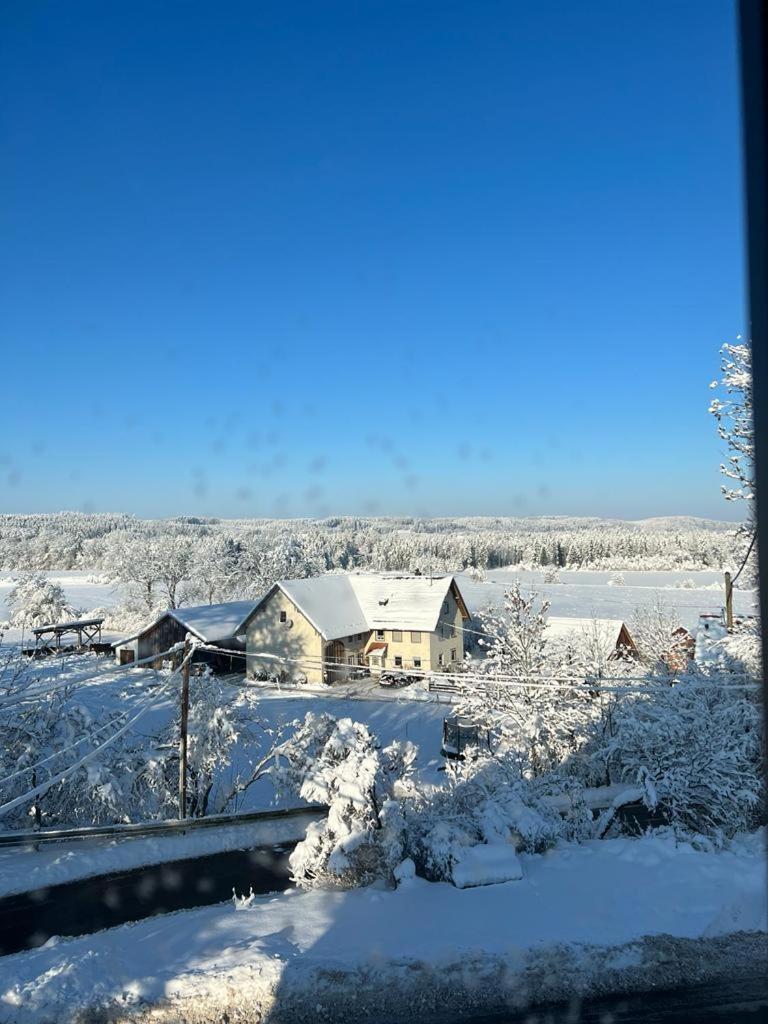 Fe Wo Brunnen - 120 Qm - Ruhige Lage - Viel Natur- Komfortabel - Grosser Balkon Und Garten Memmingen Bagian luar foto